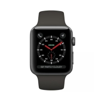 Apple Watch Series 3 LTE 42mm Space Gray / Gray Band – MR2X2